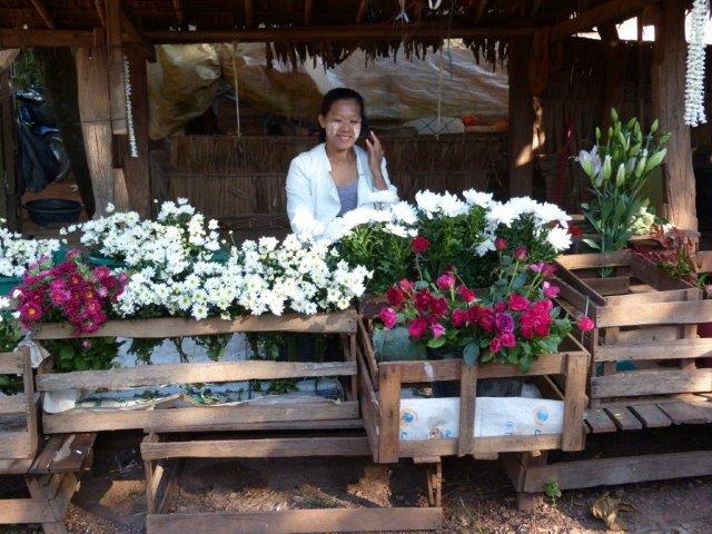 selbst Blumen gibt es zu kaufen